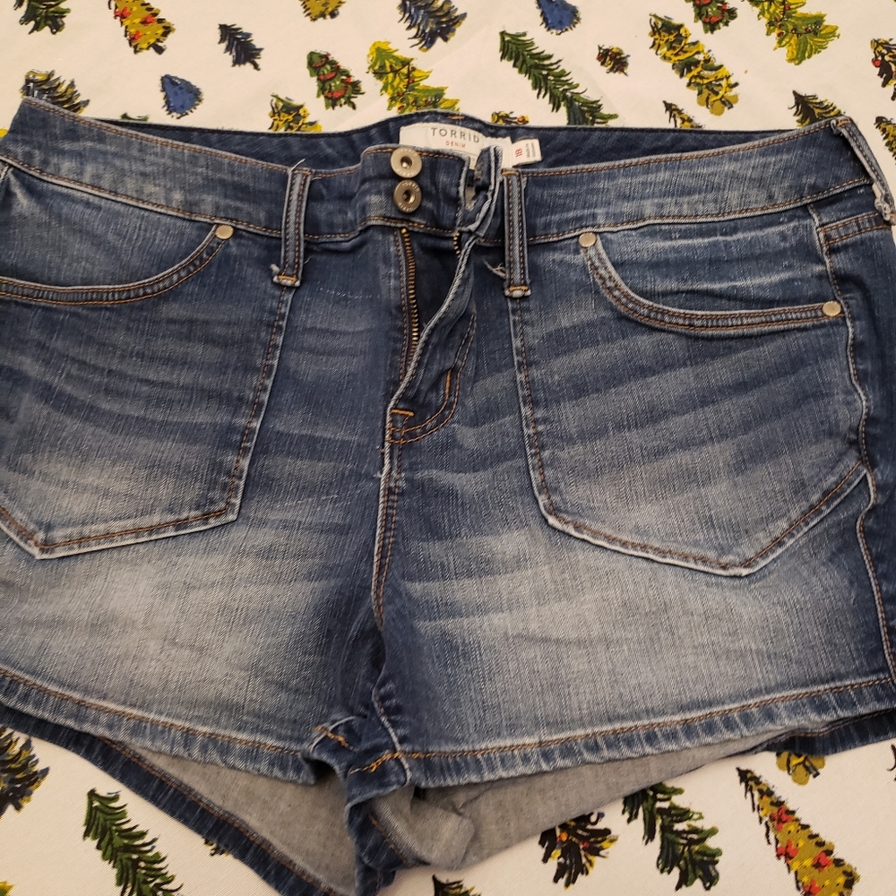Torrid short shorts